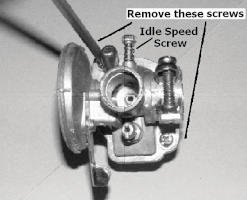 Carburetor idle screw